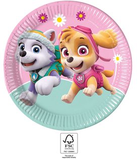 Paw Patrol Skye & Everest - Paper Plates 23 cm. FSC. - 93442