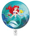 Ariel Curious - Ariel Paper Plates 23 cm. FSC - 95455