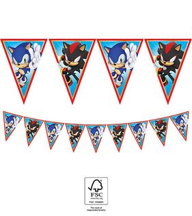 Sonic Speed - FSC Paper Triangle Flag Banner (9 flags) - 95667