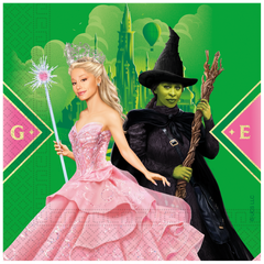 - FSC Two-Ply Paper Napkins 33x33cm - 98186